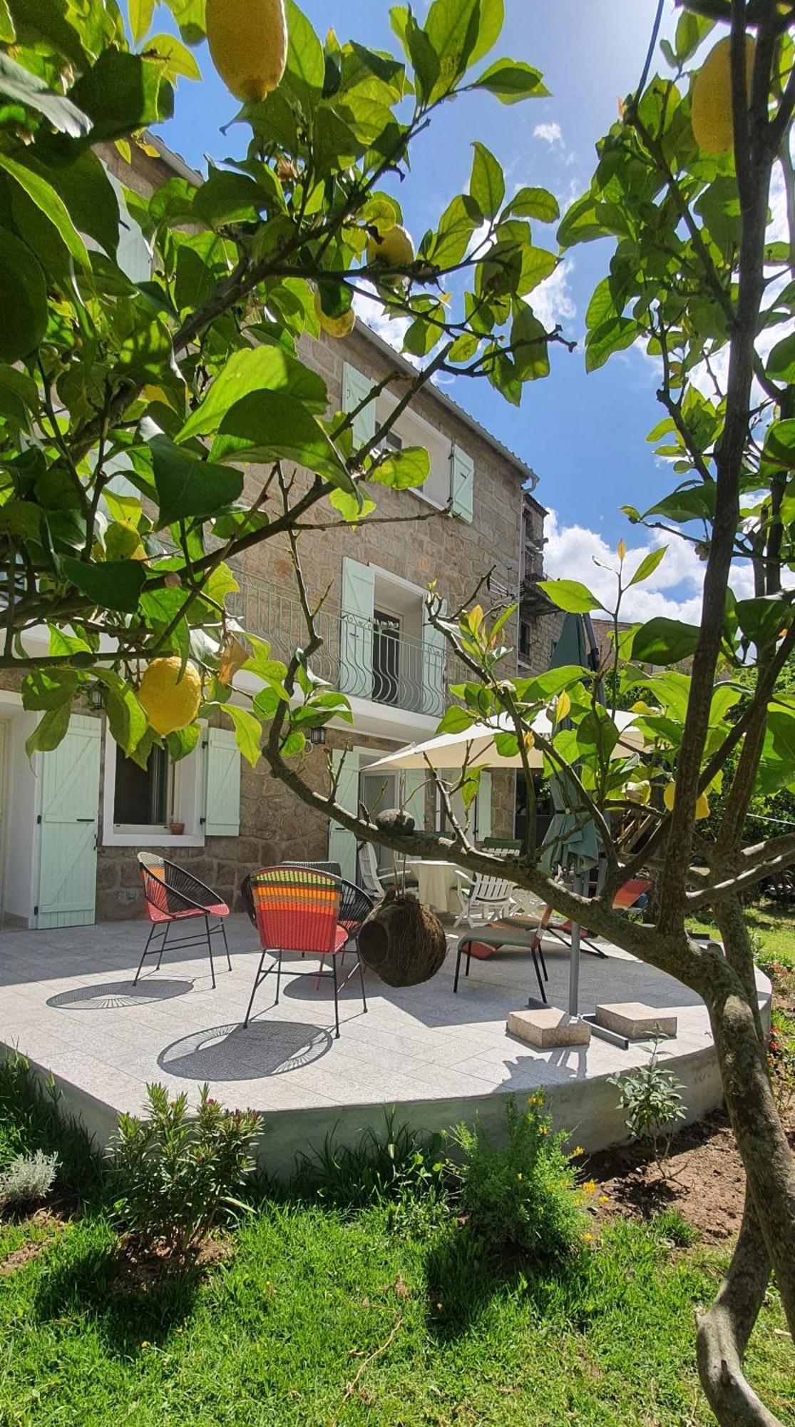 Charmant Appartement En Rez De Jardin Sartène Exteriör bild